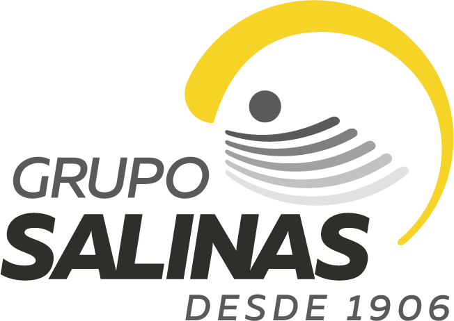 Grupo Salinas